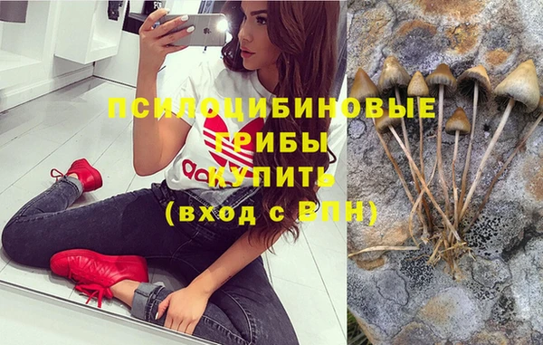 метамфетамин Дмитров