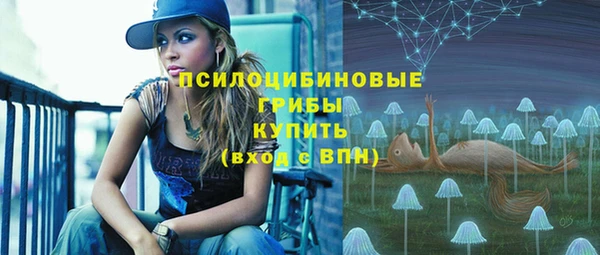 твердый Абаза